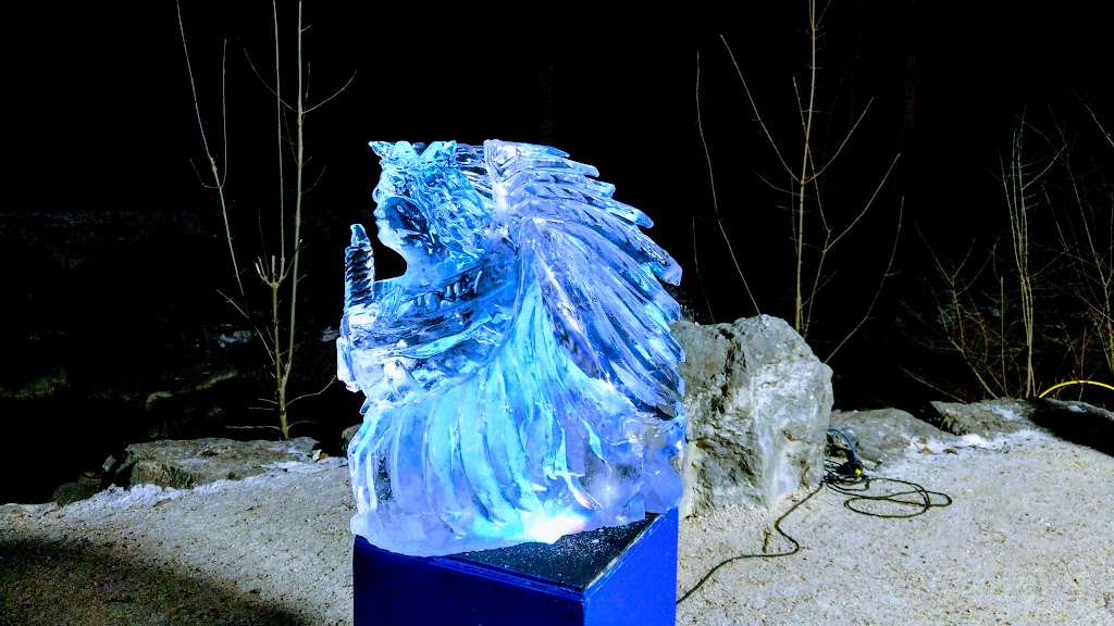 Foto  7