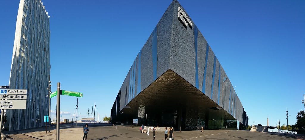 Foto  5