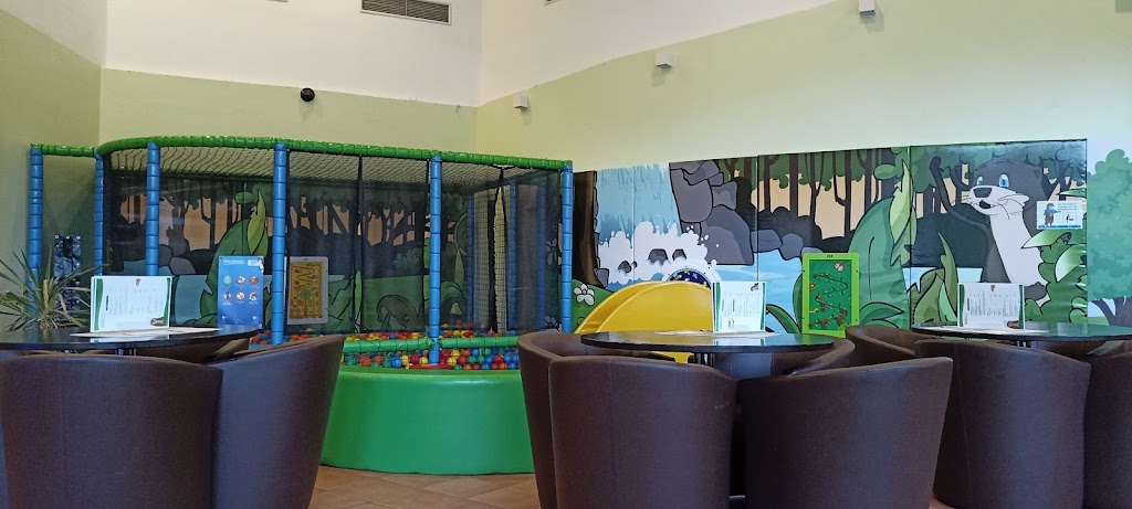 Foto  11