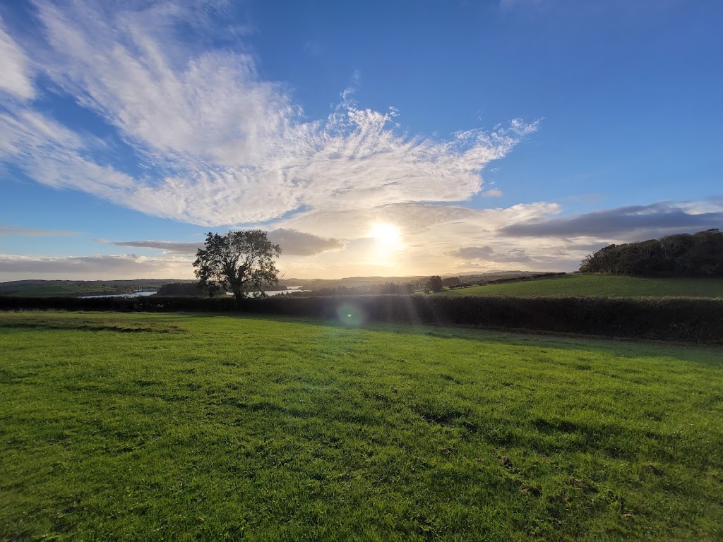 Delamont Country Park 5