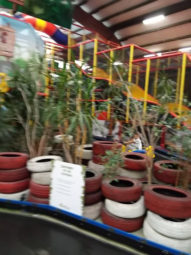 Foto  10