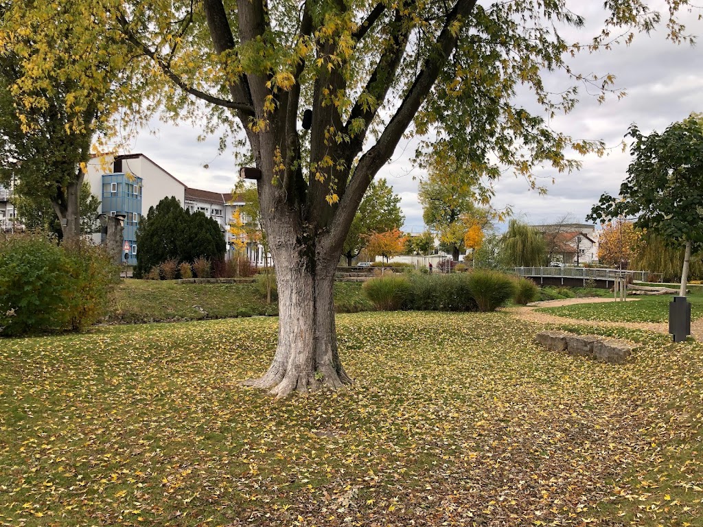 Foto  5