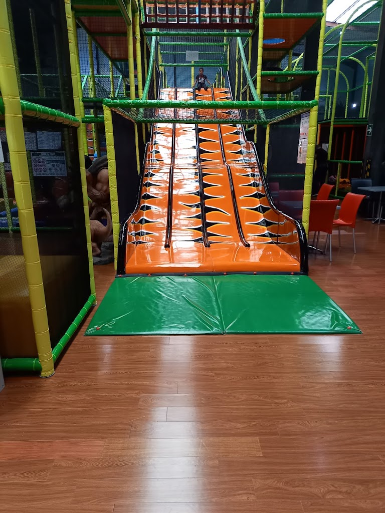 Foto  5
