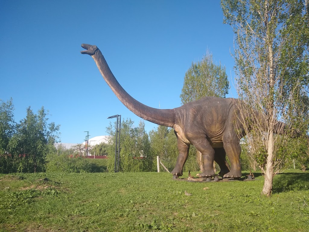 Foto  10