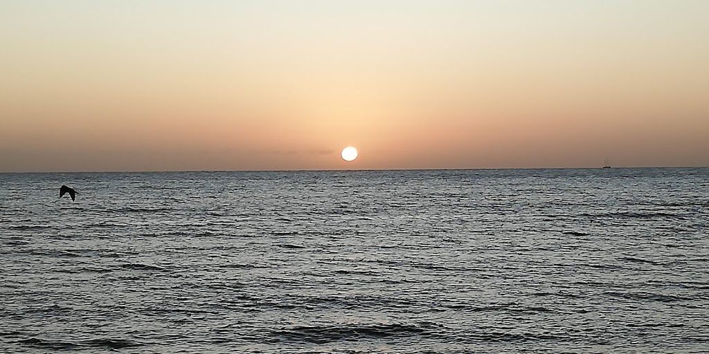 Foto  4