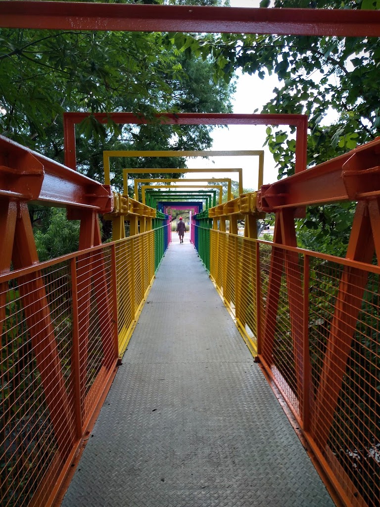 Foto  6