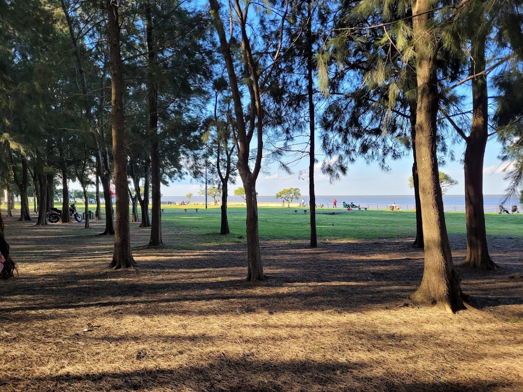 Foto  9