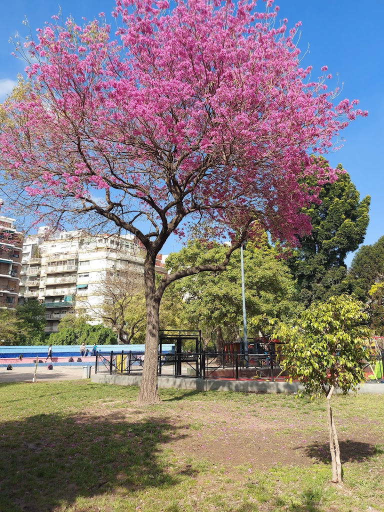 Foto  8