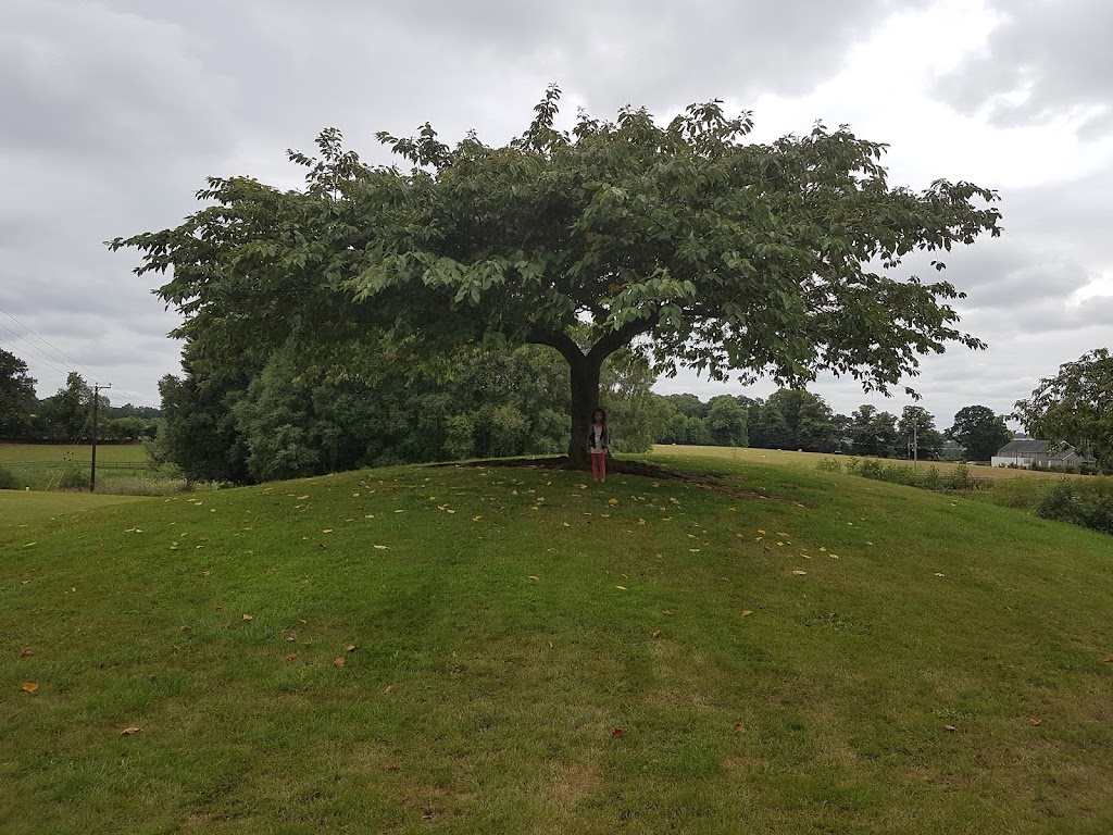 Scarva Park