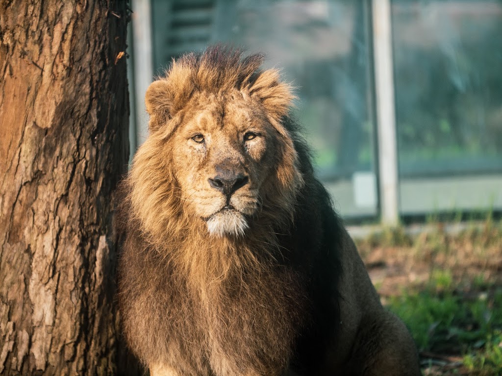 Zoo Santo Inácio 1