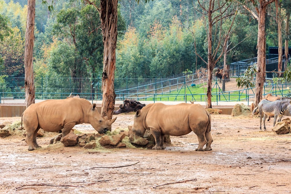 Zoo Santo Inácio 2