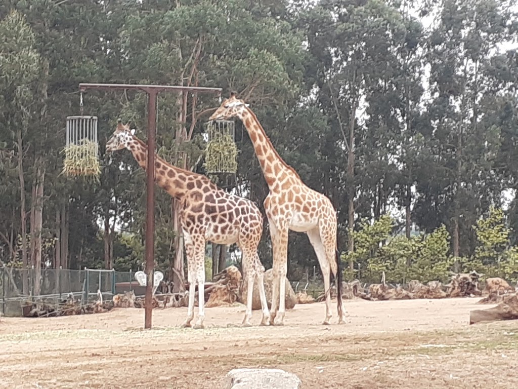 Zoo Santo Inácio 4