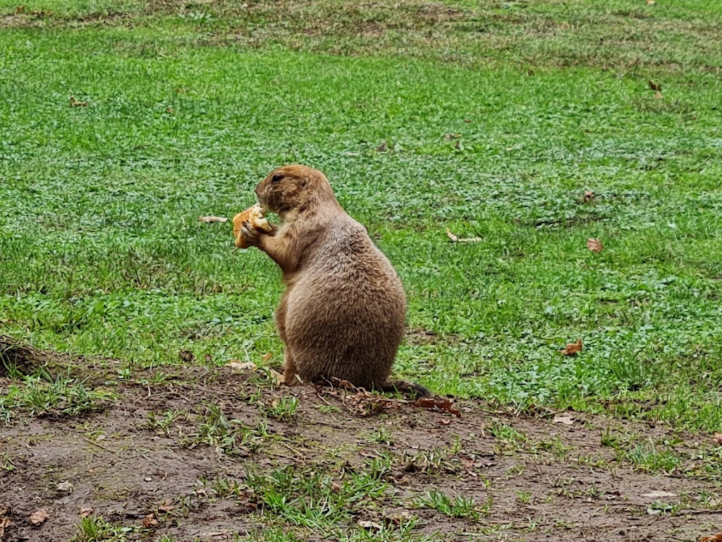 Zoo Santo Inácio 8