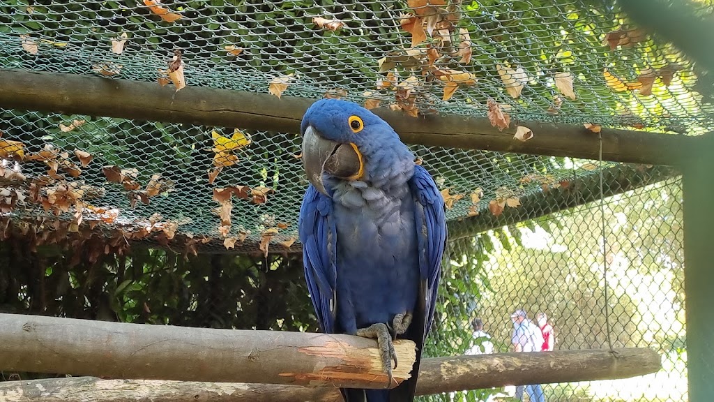 Zoo Santo Inácio 10