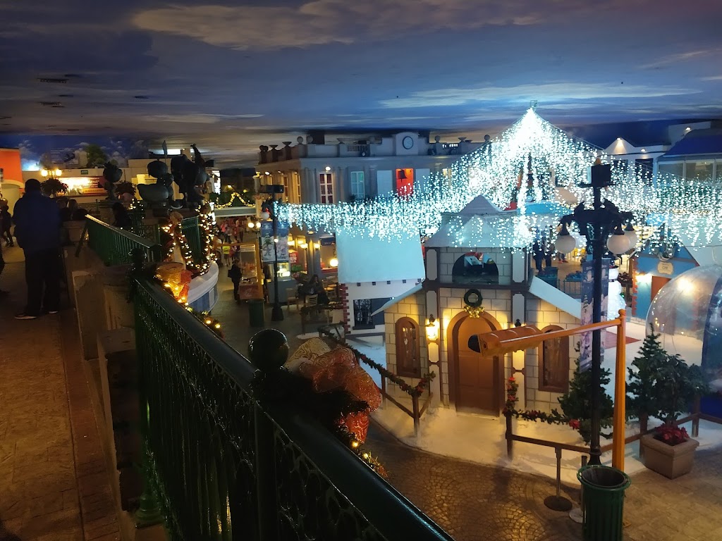 Foto  5