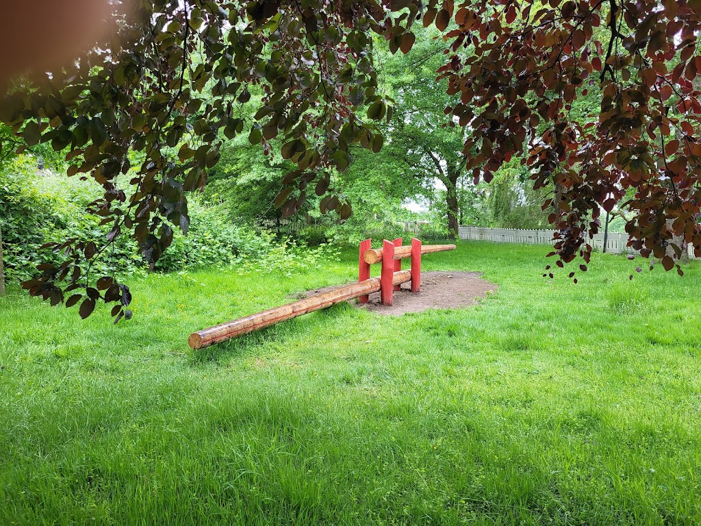 Foto  7