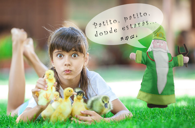 Foto  6