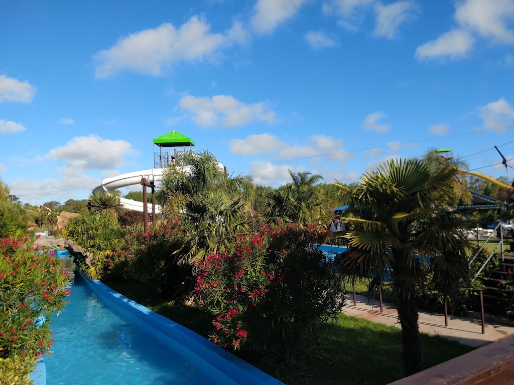 Foto  6