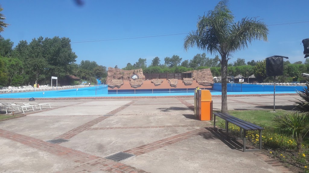 Foto  8
