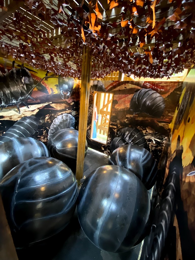 Foto  7
