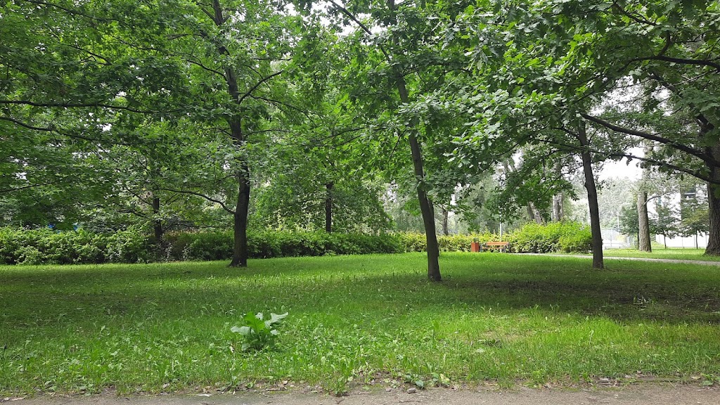 Foto  3