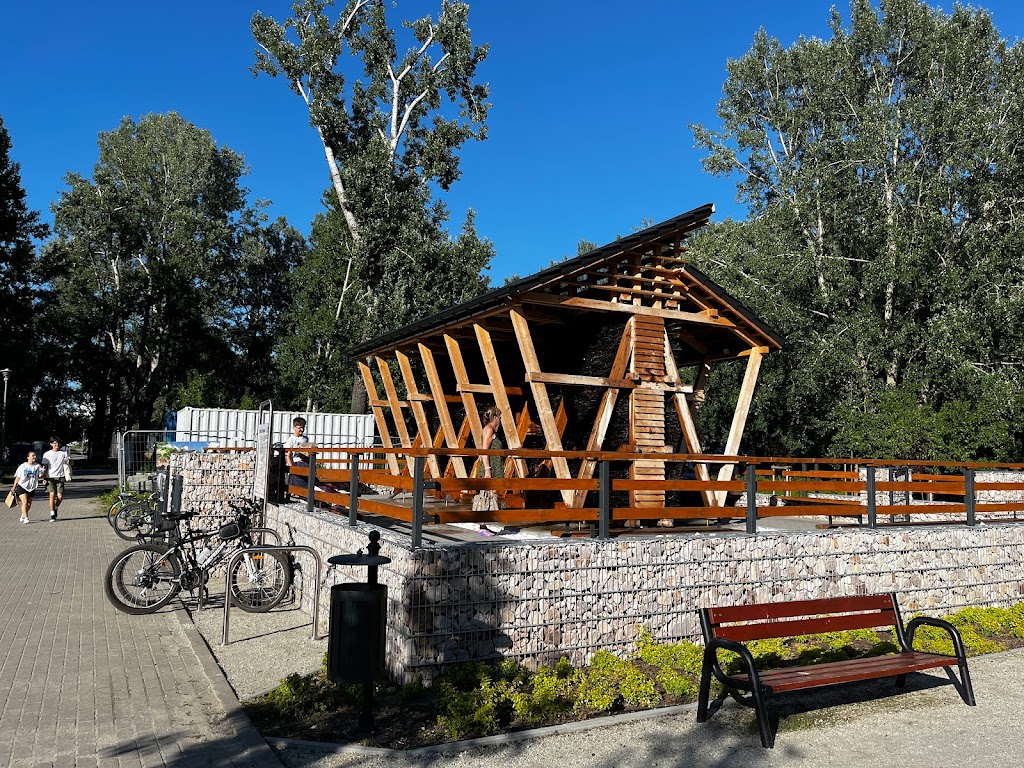 Foto  10