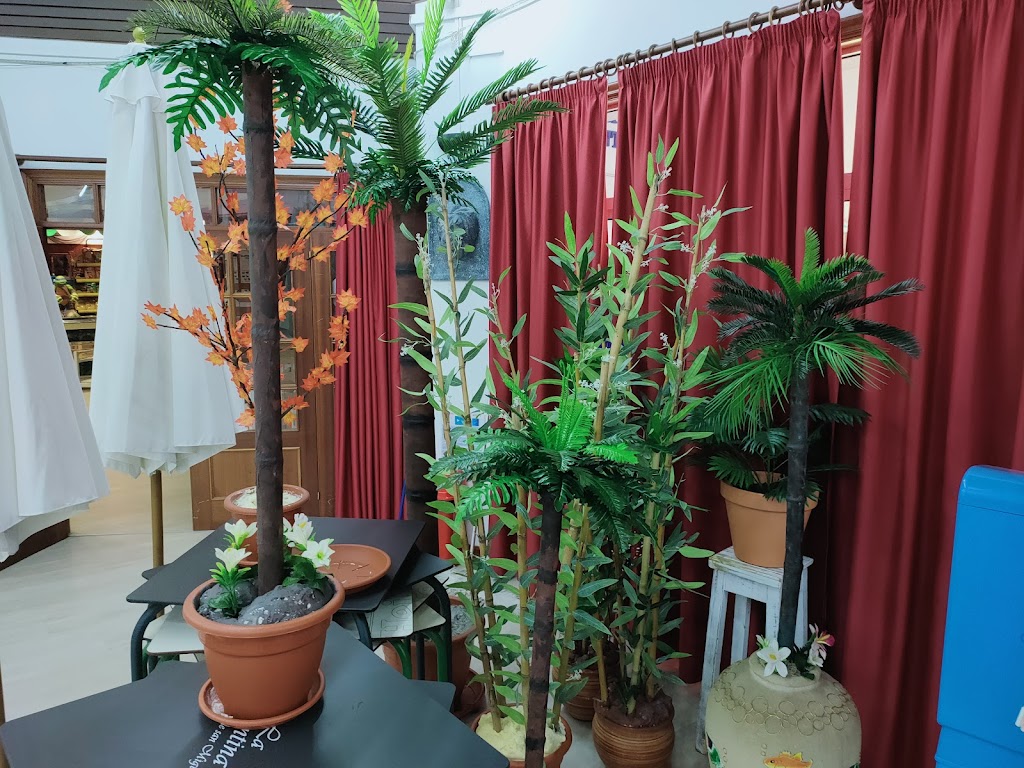 Foto  10
