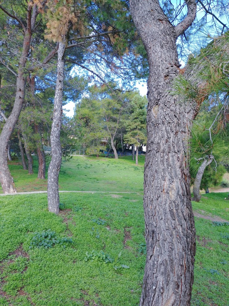 Foto  4