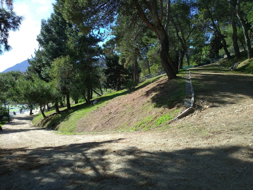 Foto  5