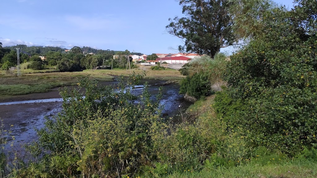 Parque Aventura Estuario Rio Coroño 4