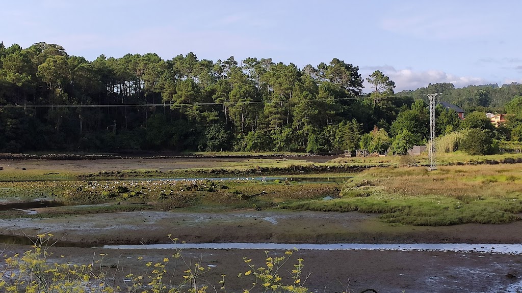 Parque Aventura Estuario Rio Coroño 6