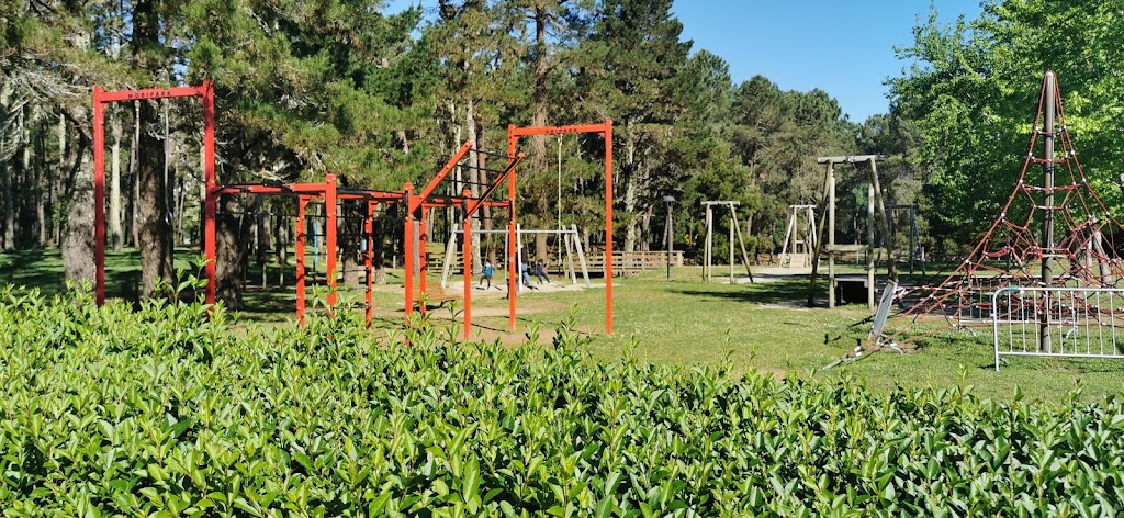 Foto  6