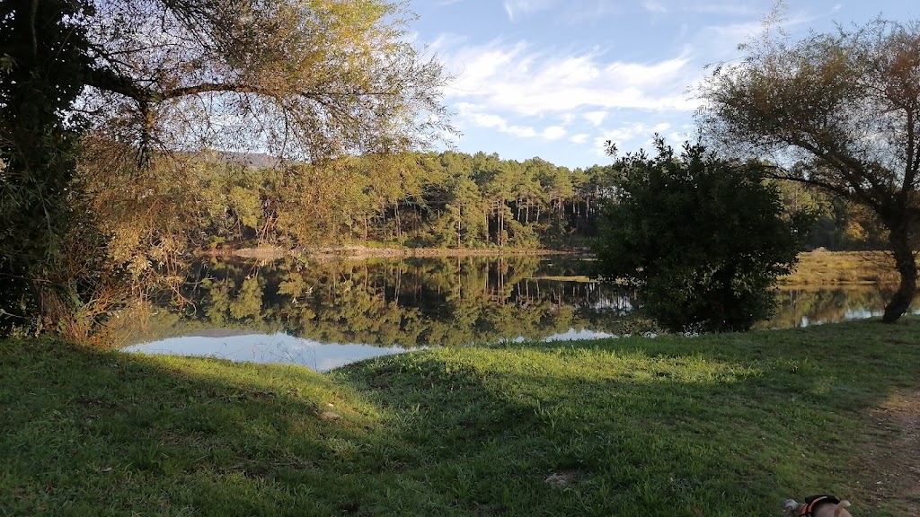 Foto  8