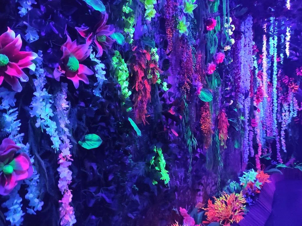 Foto  7