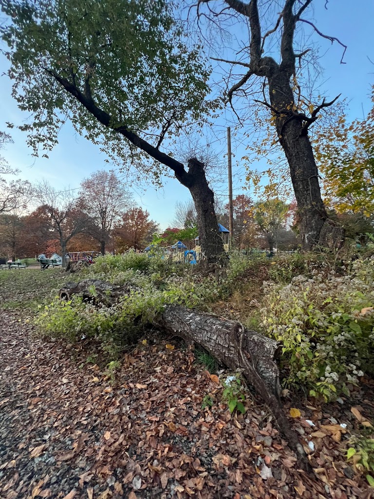 Foto  5