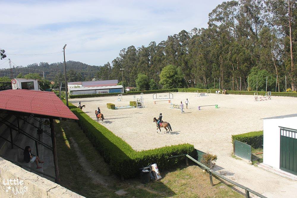 Escuela Equitación San Cosme