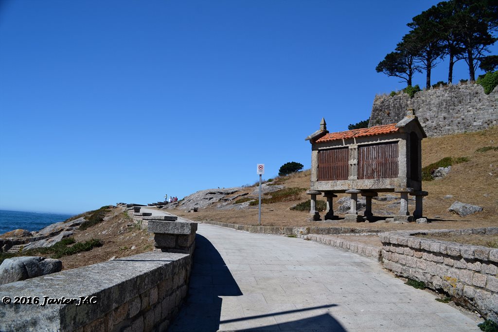 Parque da Palma 8