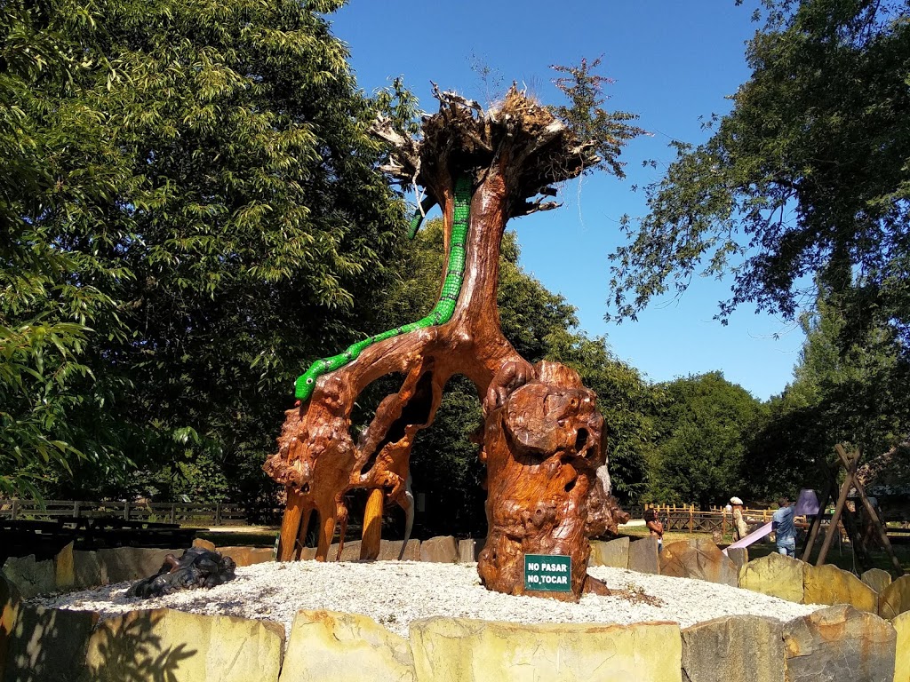 Foto  15