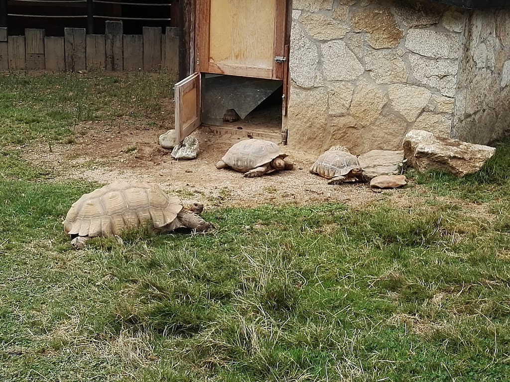 Foto  19
