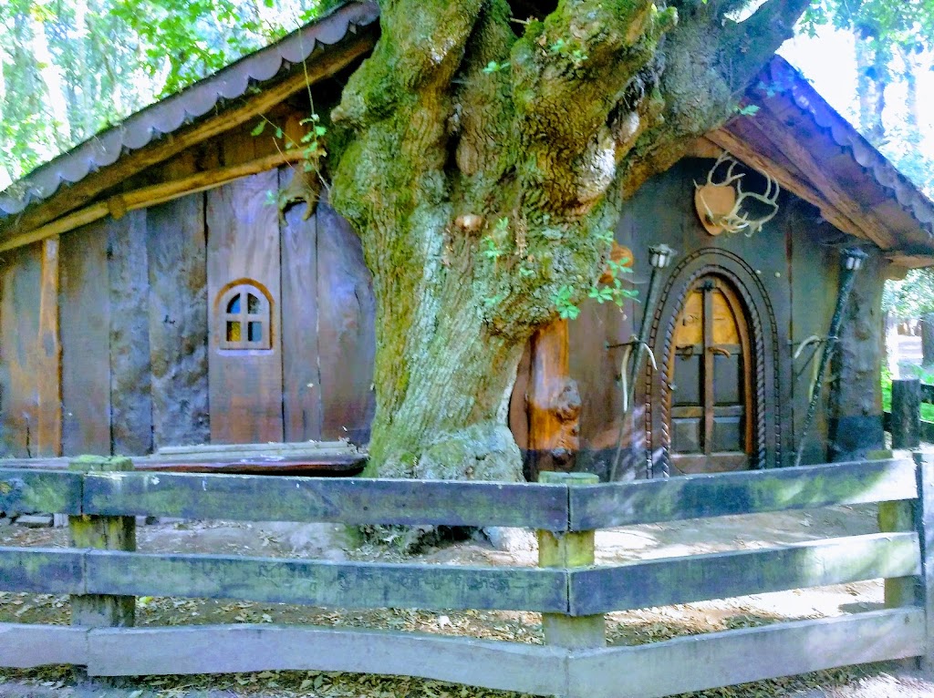 Foto  21