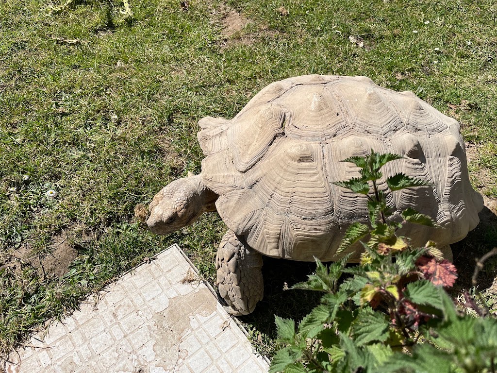 Foto  28