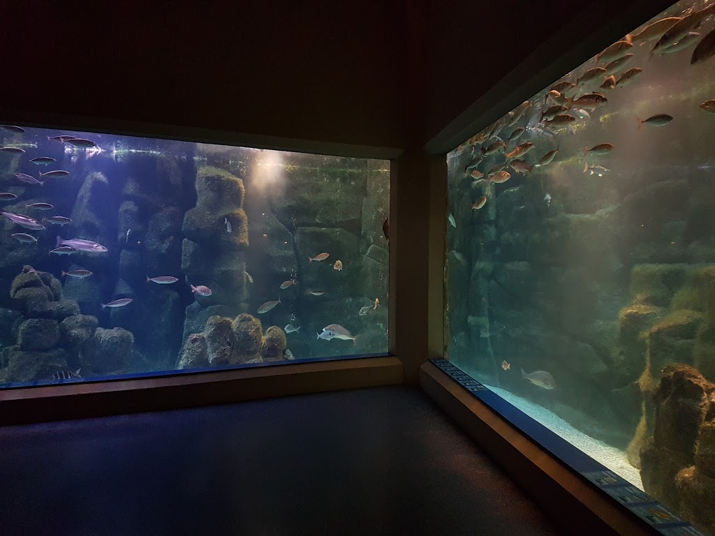 Aquarium Finisterrae 12