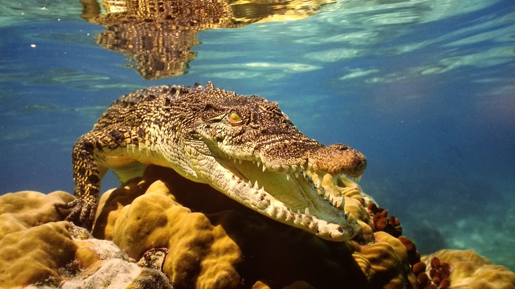 Aquarium Finisterrae 24