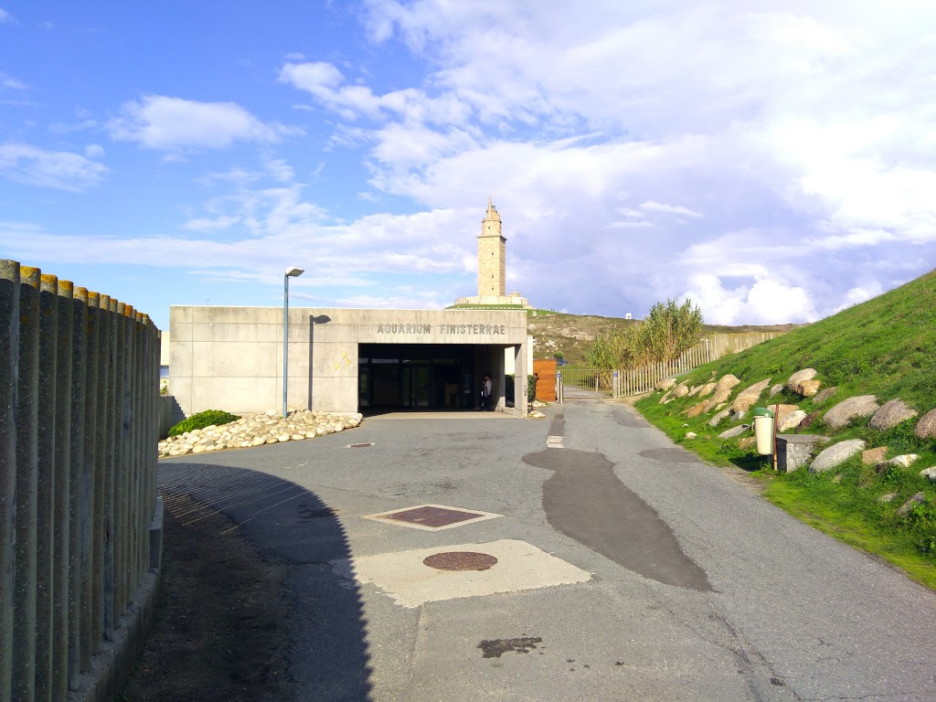 Aquarium Finisterrae 25