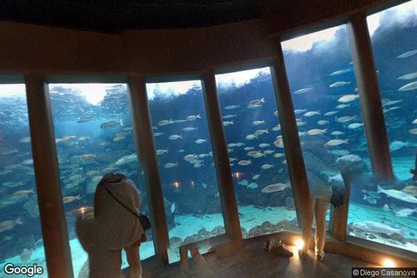 Aquarium Finisterrae 27
