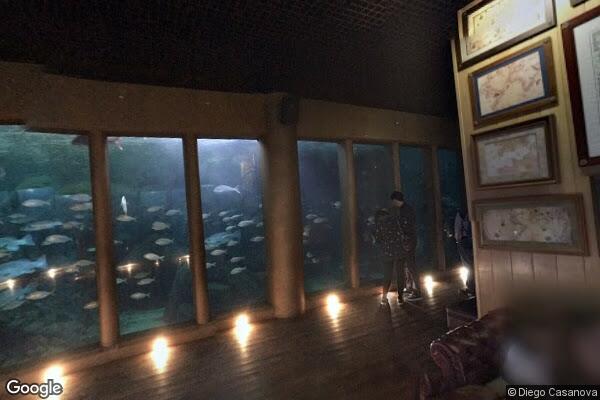 Aquarium Finisterrae 28