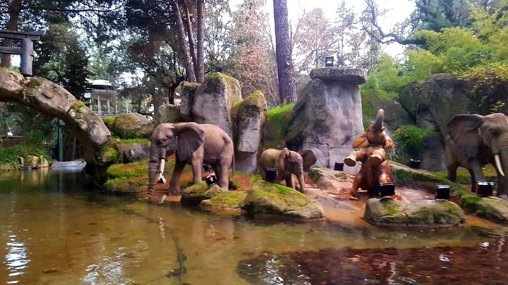 Parque de Atracciones de Madrid 25