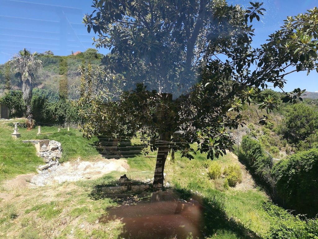 Foto  9