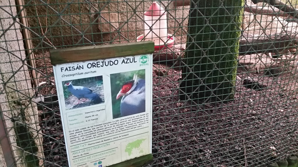 Foto  4
