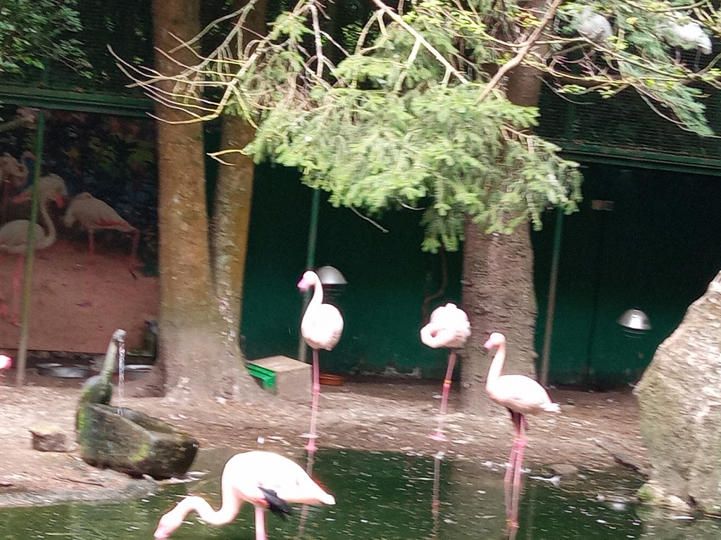 Foto  13